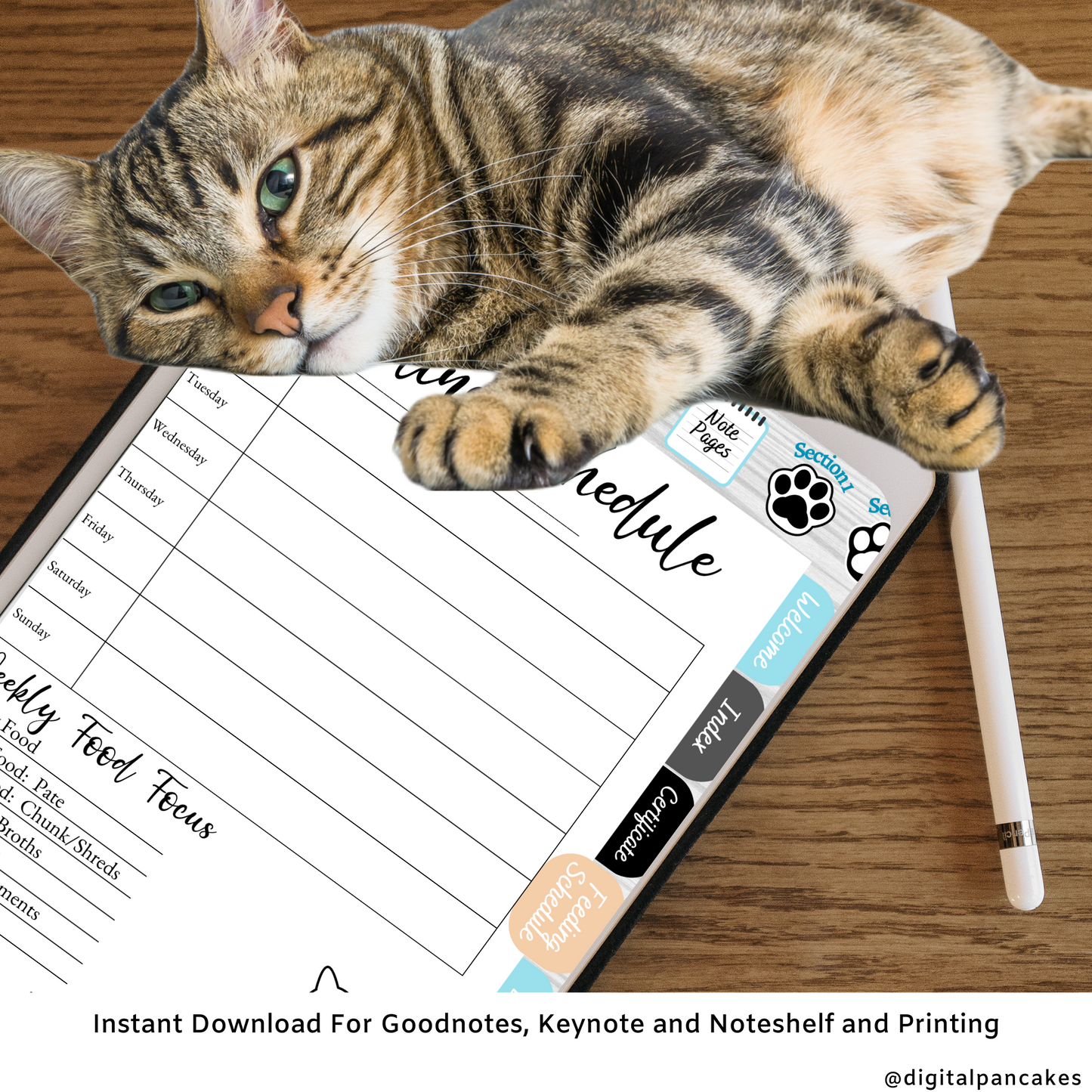 Kitty Patter Digital Planner, Digital Guide, Pet Care, Goodnotes, Noteshelf. Hyper-linked Kitty Cat Companion Digital Health Log Planner *Blue Edition*