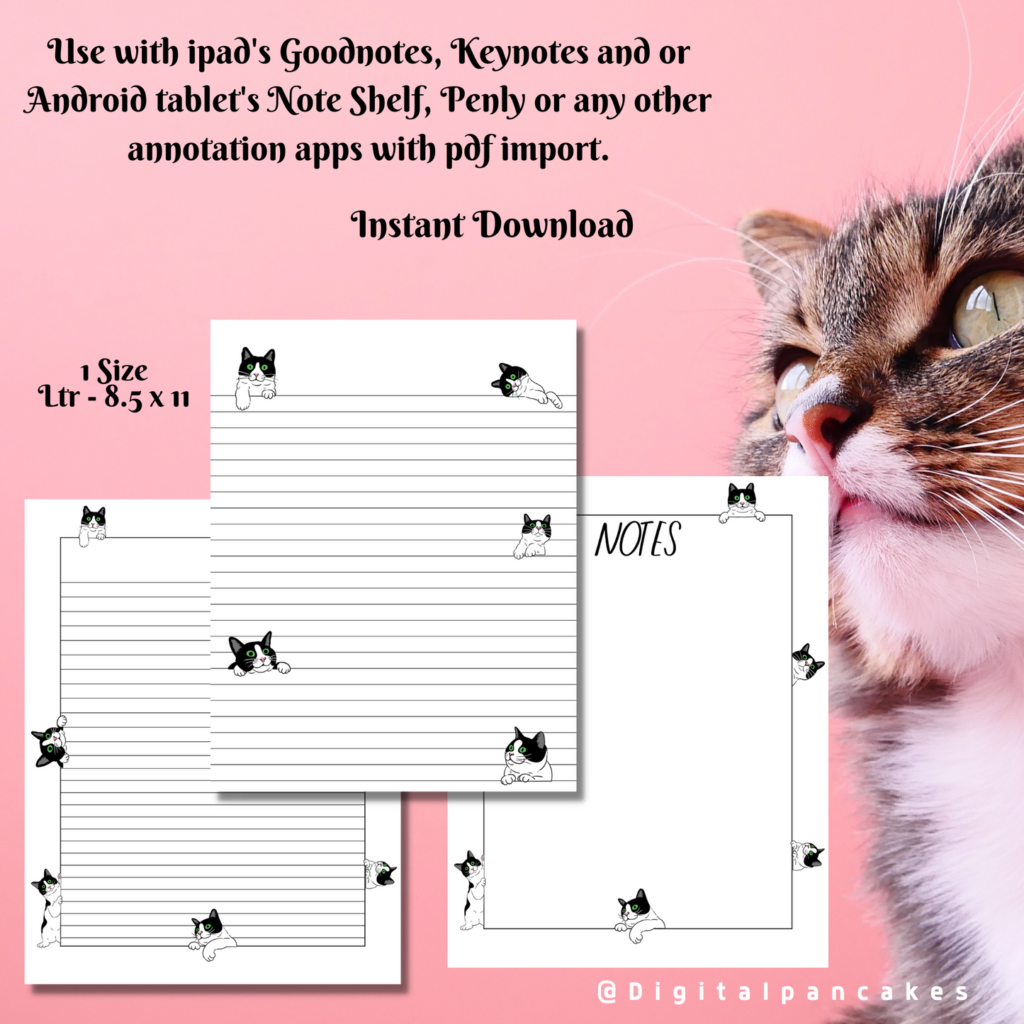 Black and White Tabby Cat Peek-A-Boo Printable Stationery, 1 set of Digital/ Printable Designs. 1 Size 8.5x11 pdf format for Download |  Lined and Unlined