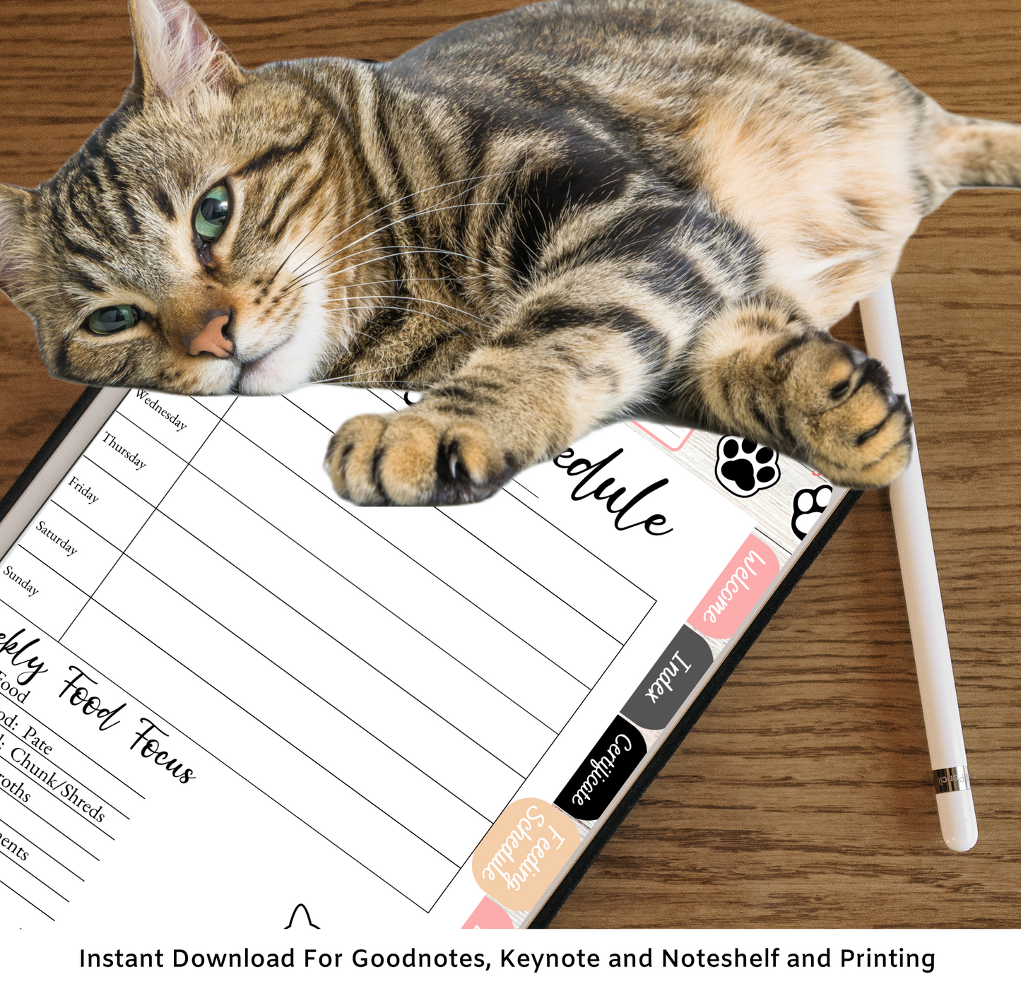 Kitty Patter Digital Planner, Digital Guide, Pet Care, Goodnotes, Noteshelf. Hyper-linked Kitty Cat Companion Digital Health Log Planner *Pink Edition*
